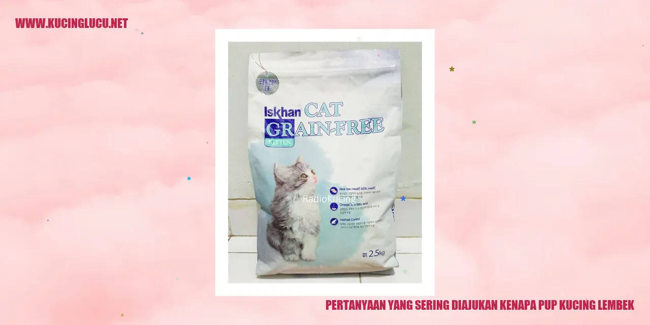 Pertanyaan yang Sering Diajukan kenapa pup kucing lembek