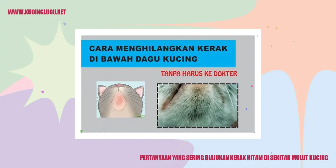 Gambar Kucing dengan Kerak Hitam di Sekitar Mulut