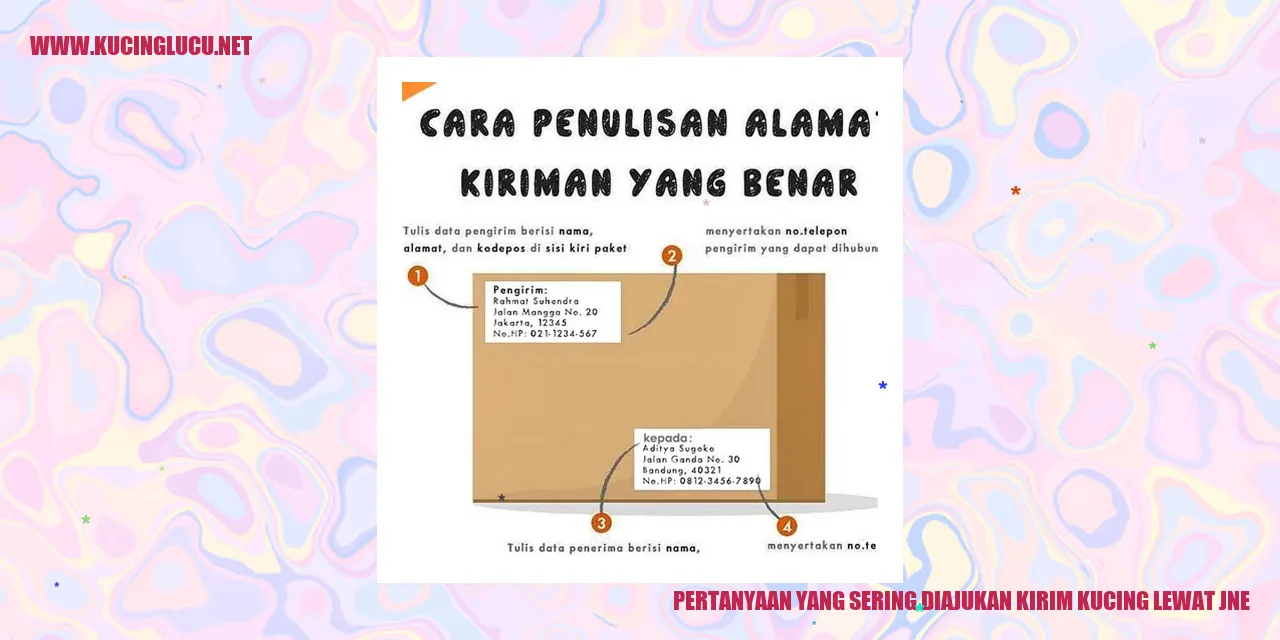 Kirim Kucing lewat JNE