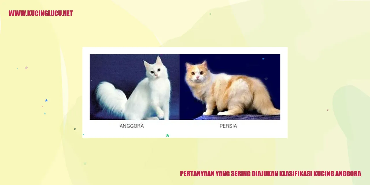 Kucing Anggora