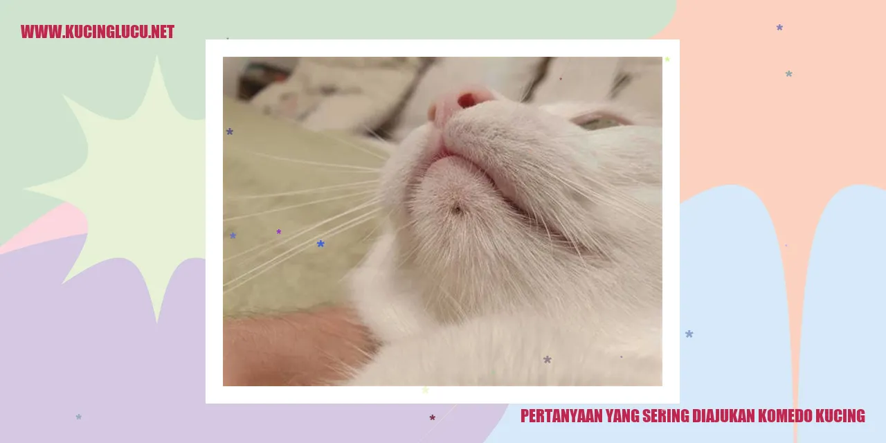 Komedo pada kucing