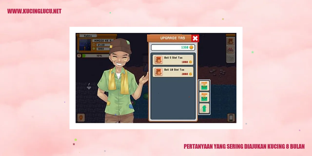 Kucing 8 Bulan