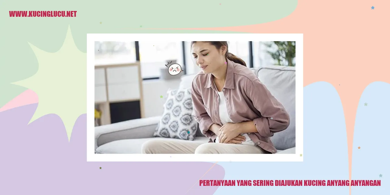 Gambar Kucing Anyang Anyangan