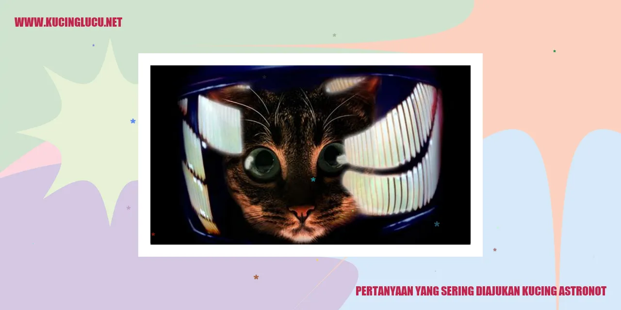 Gambar Kucing Astronot