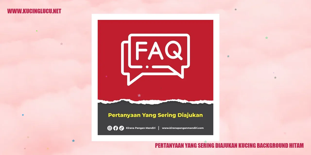 Gambar kucing berkulit hitam