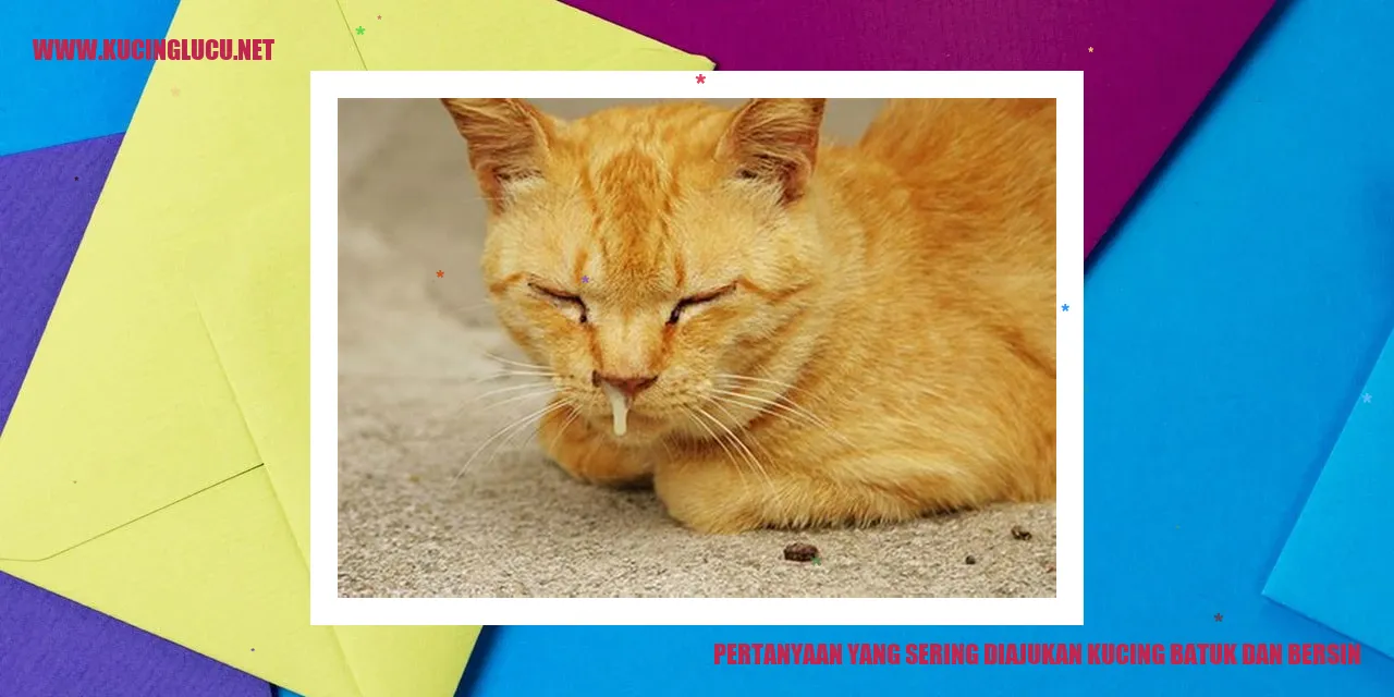 Gambar Kucing Batuk dan Bersin