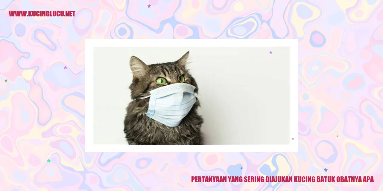 kucing batuk obatnya apa