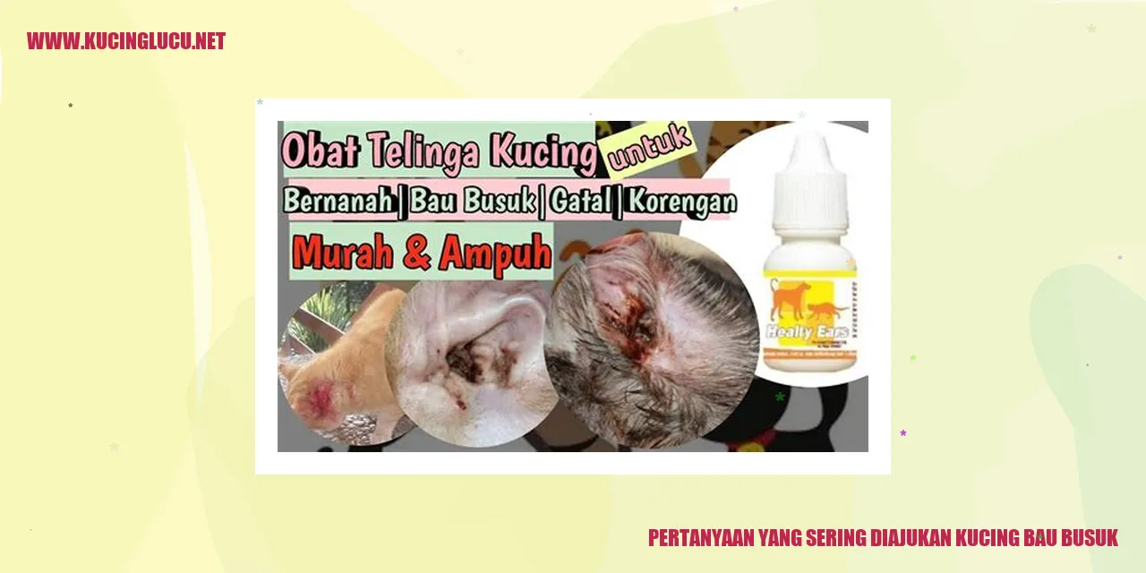 Kucing Bau Busuk