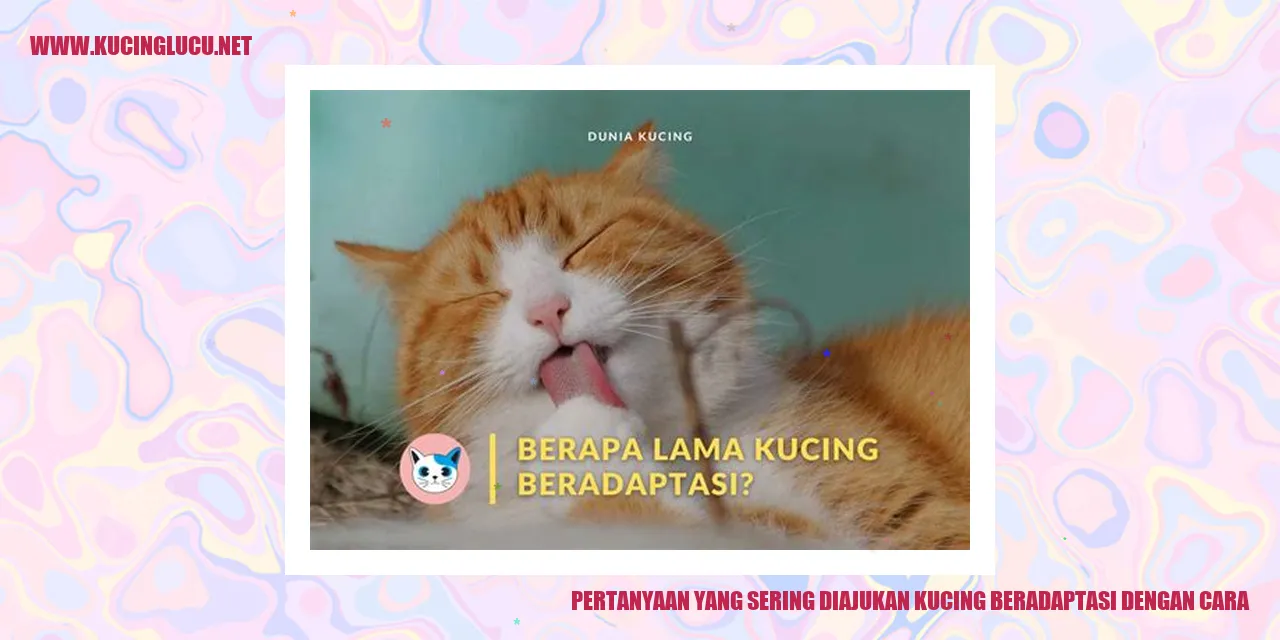 Pertanyaan yang Sering Diajukan kucing beradaptasi dengan cara
