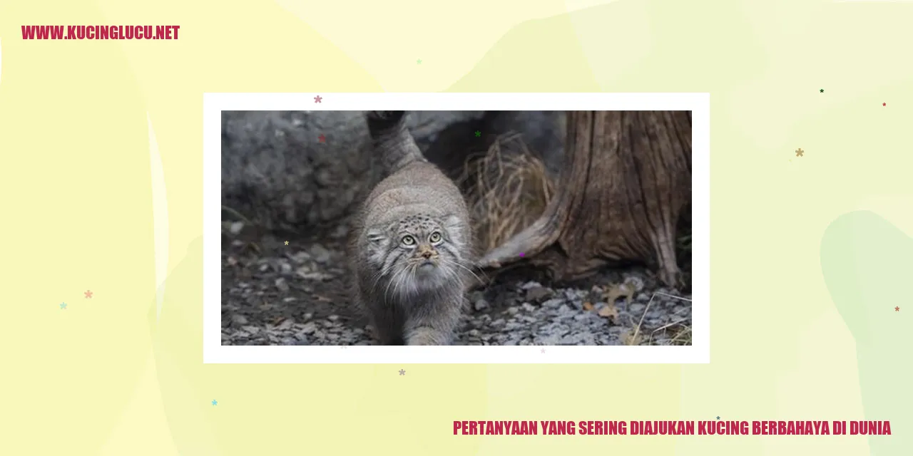 kucing berbahaya