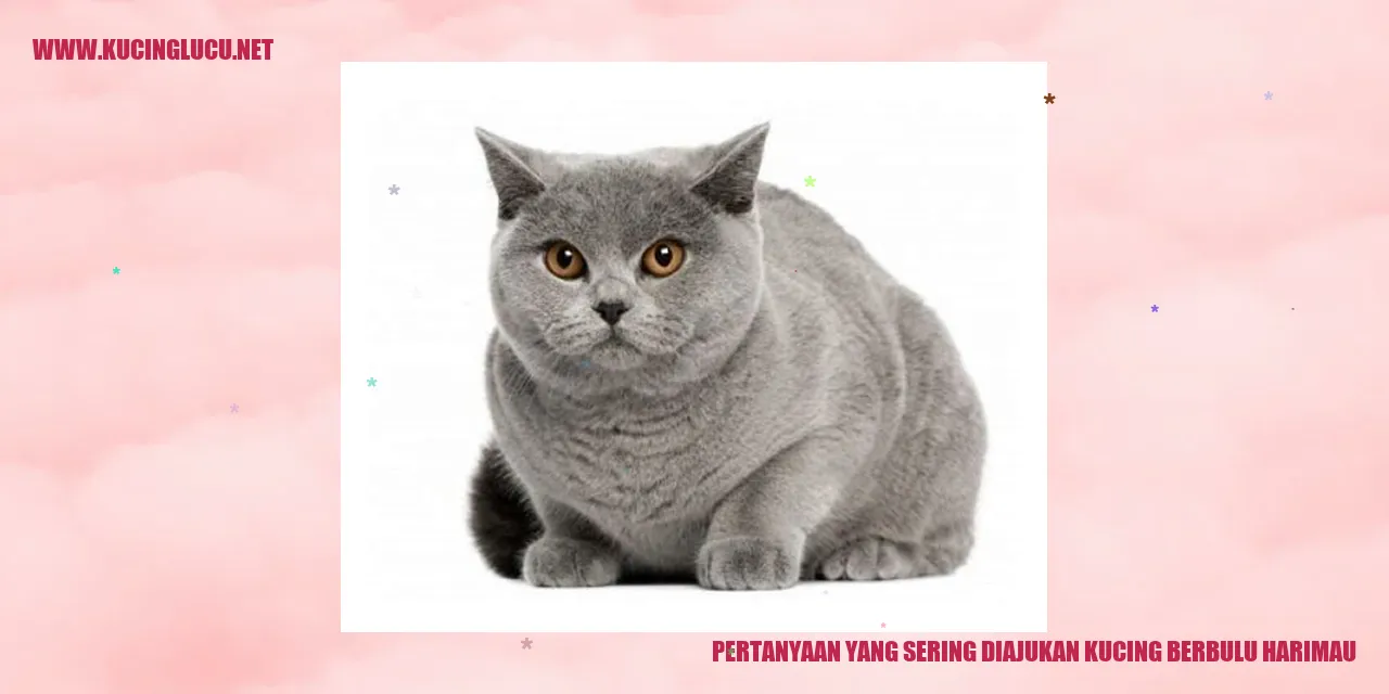 Kucing Berbulu Harimau