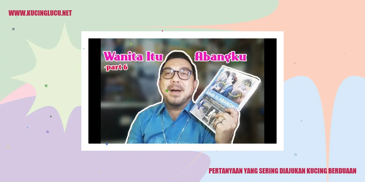 kucing yang berduaan