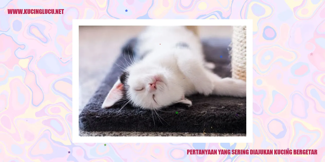 Kucing Bergetar