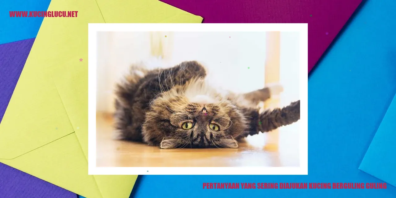 Kucing Berguling-guling yang Menggemaskan