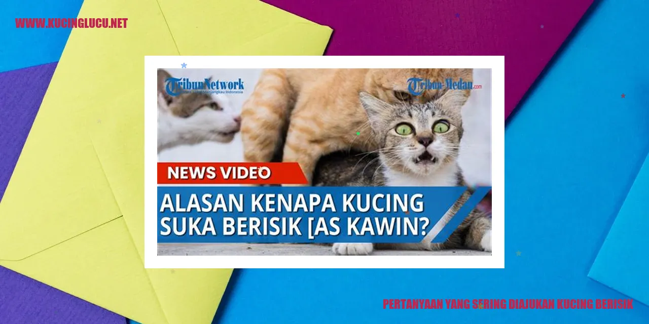 Kucing Berisik