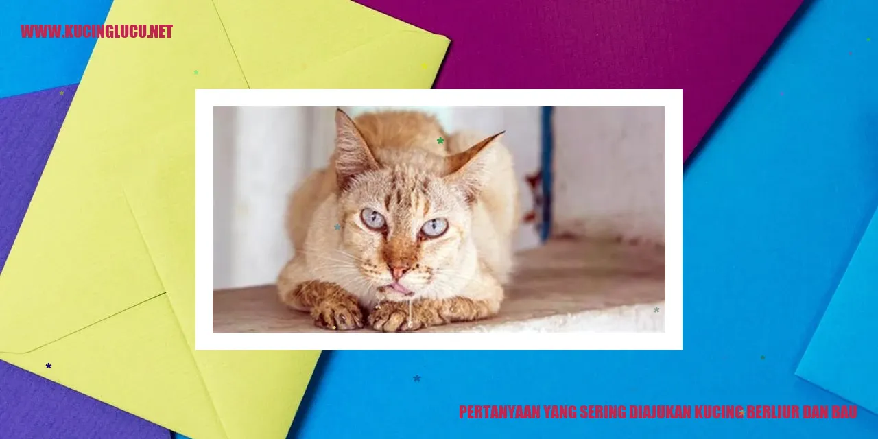Gambar Kucing Berliur dan Bau