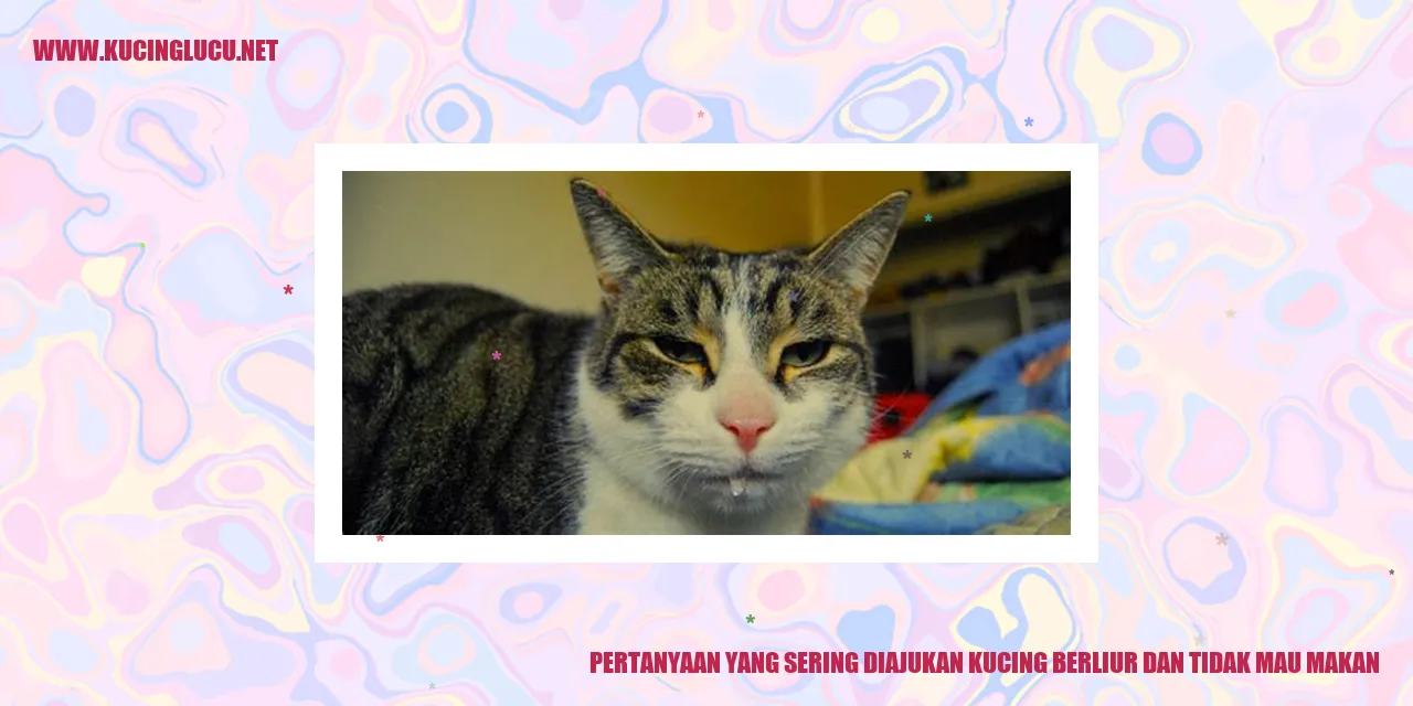 Gambar Kucing Berliur dan Tidak Mau Makan