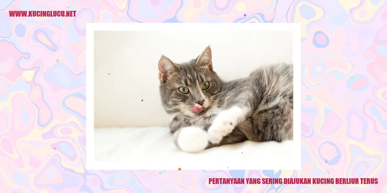 Kucing yang Terus Menerus Berliur