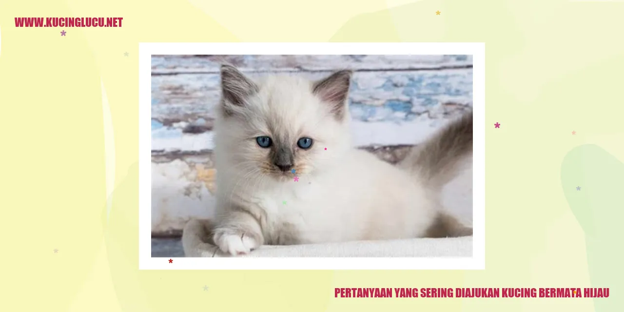 Ilustrasi Kucing Bermata Hijau