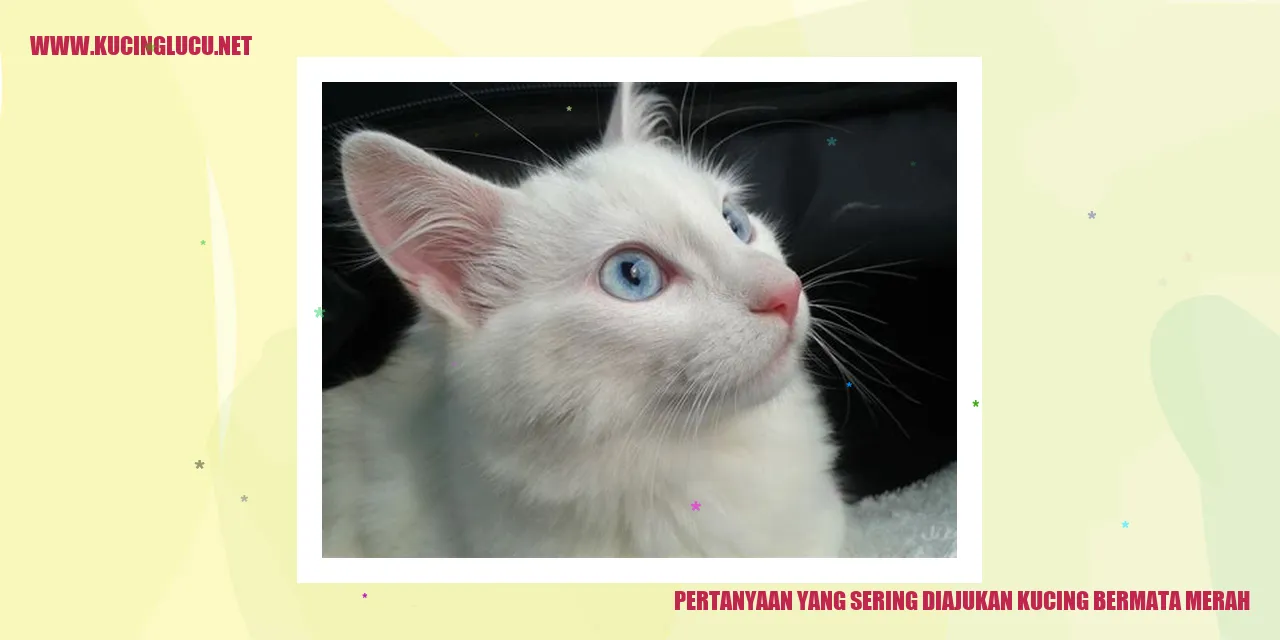 Ilustrasi kucing bermata merah