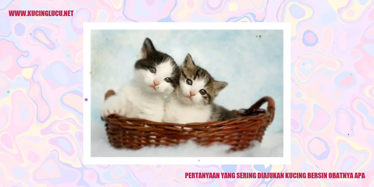 Gambar kucing bersin