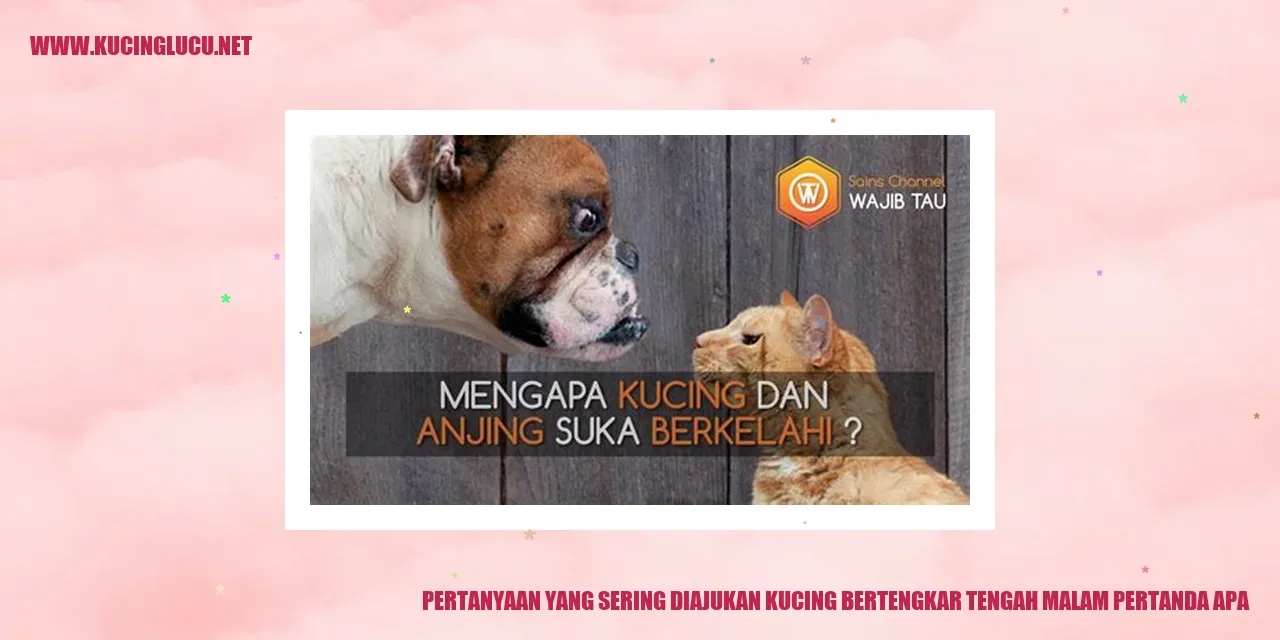 Tengah malam