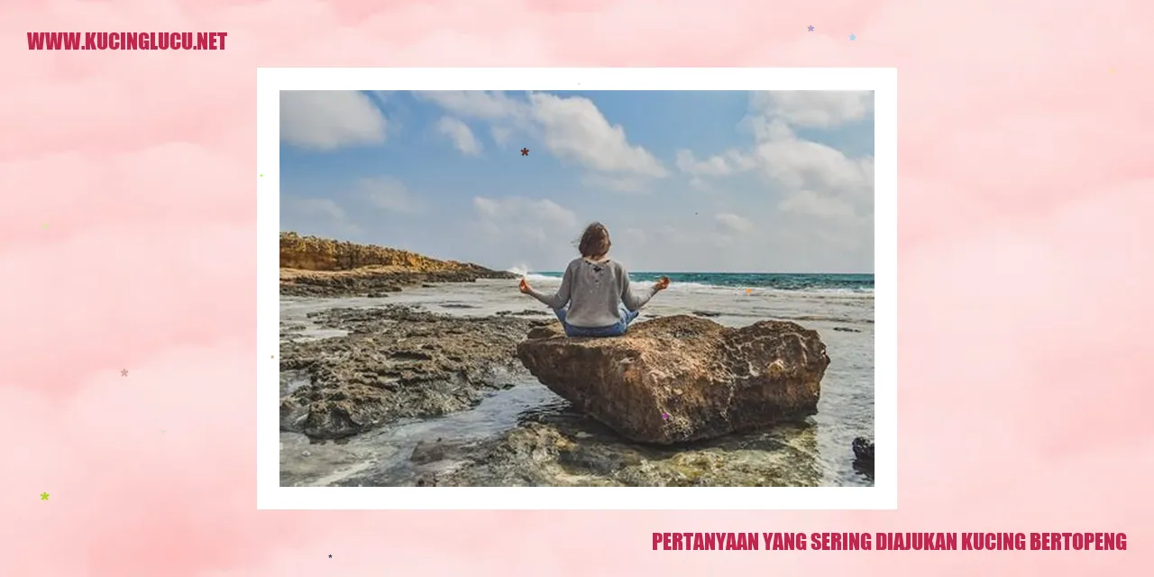 Pertanyaan yang Sering Diajukan kucing bertopeng