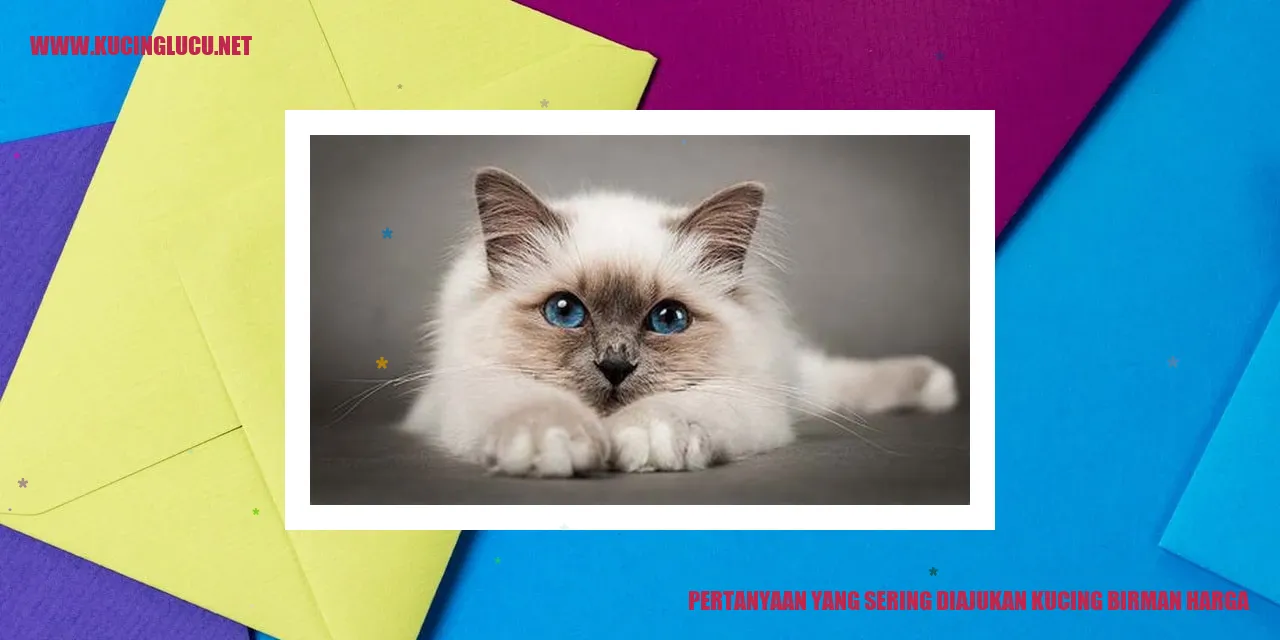 Kucing Birman