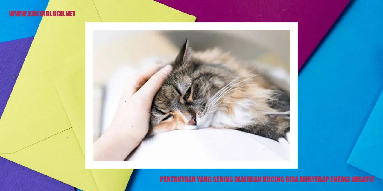 Gambar kucing yang menenangkan