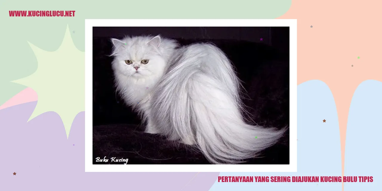 Pertanyaan yang Sering Diajukan kucing bulu tipis