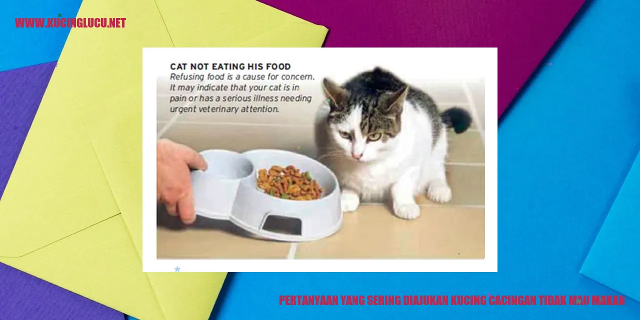 Kucing Cacingan yang Tak Berselera Makan