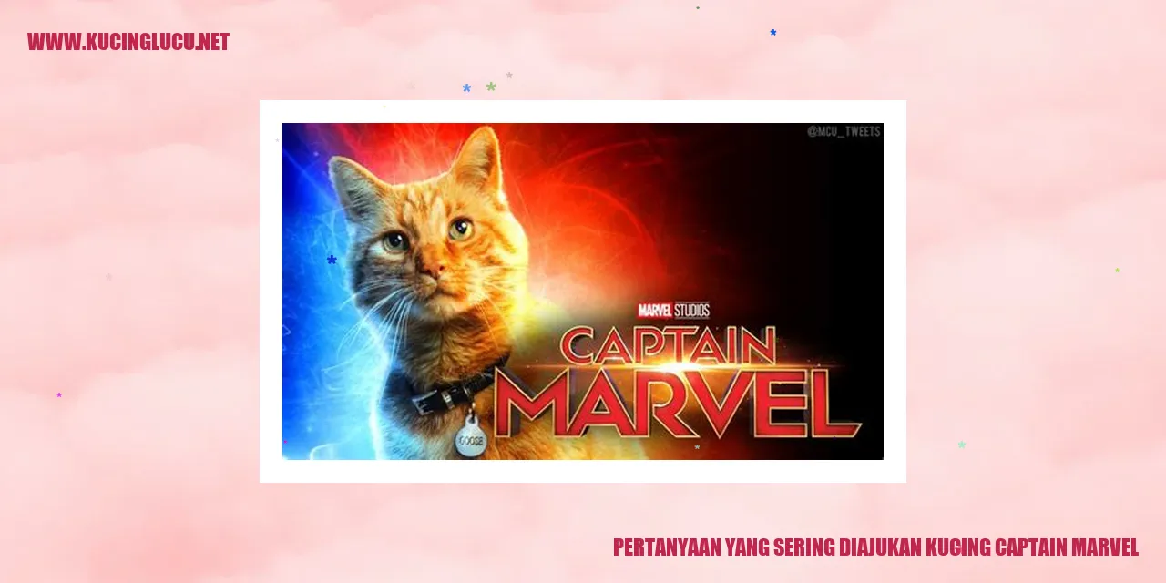 Pertanyaan yang Sering Diajukan kucing captain marvel