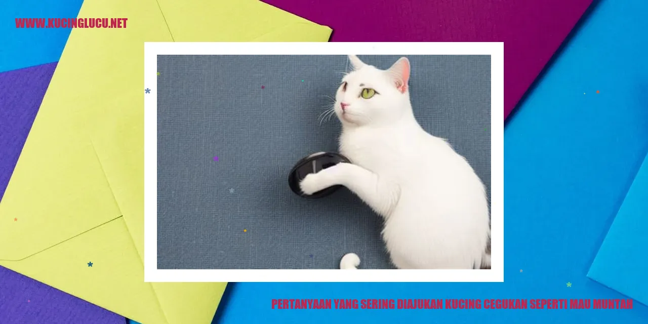 Pertanyaan yang Sering Diajukan kucing cegukan seperti mau muntah