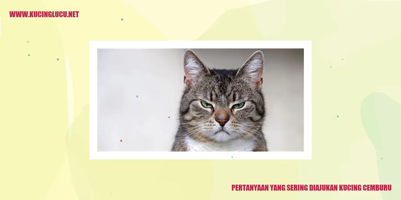 Kucing cemburu