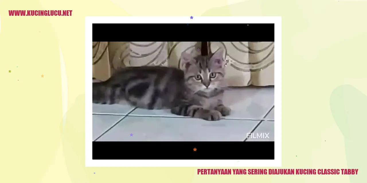 Pertanyaan yang Sering Muncul mengenai Kucing Classic Tabby