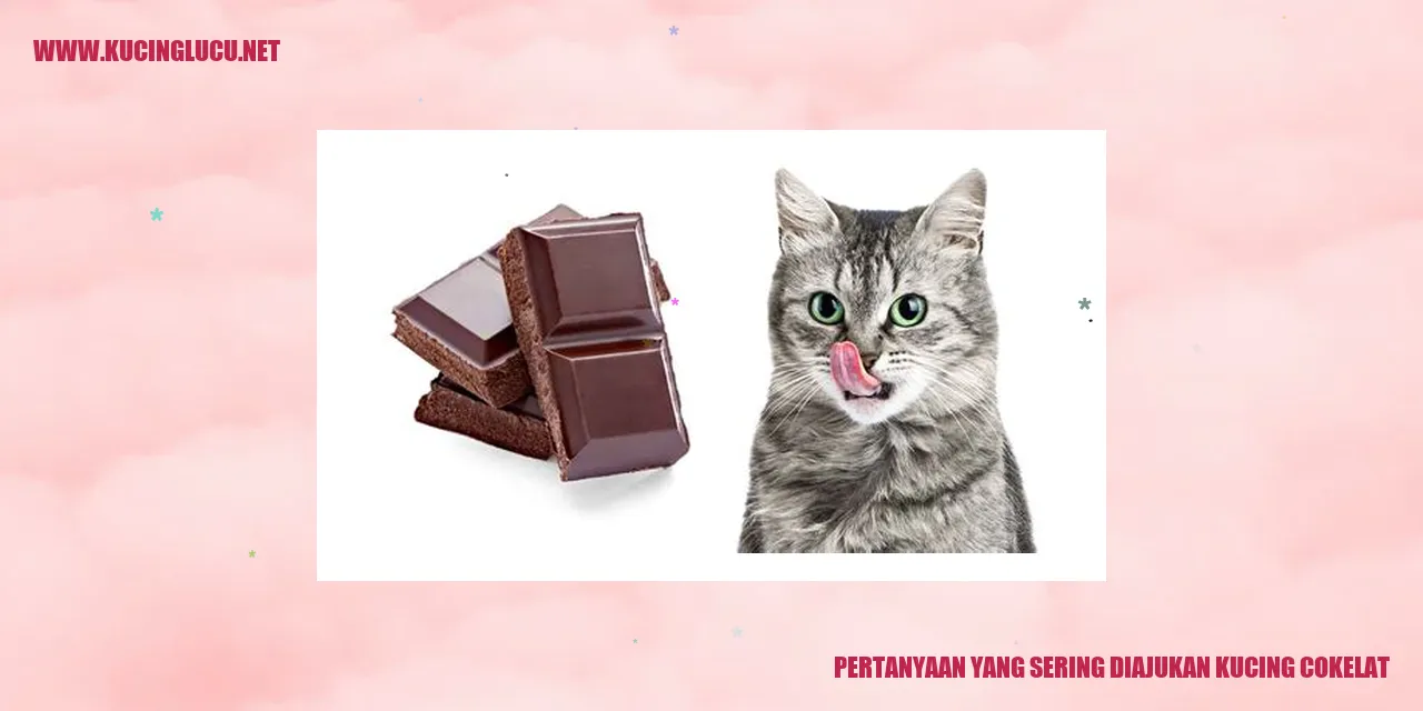 Kucing Cokelat