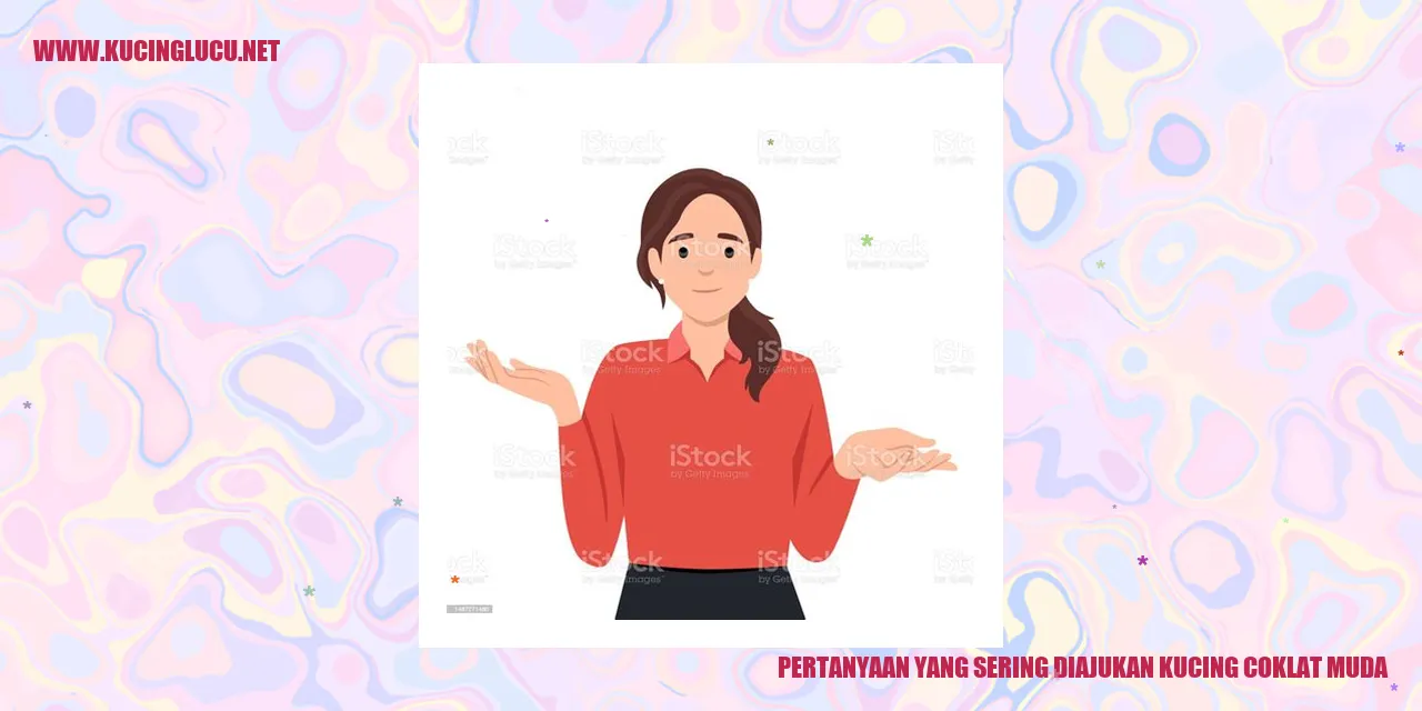 Gambar Sumber: Kucing coklat muda