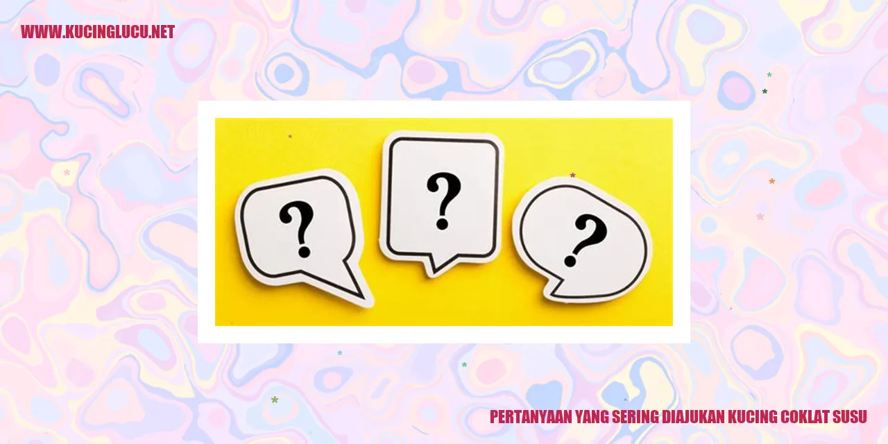 Gambar Kucing Coklat Susu