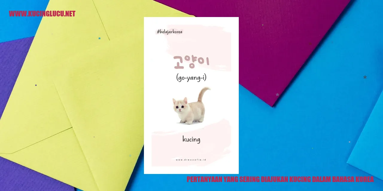 Kucing bertanya dalam bahasa Korea