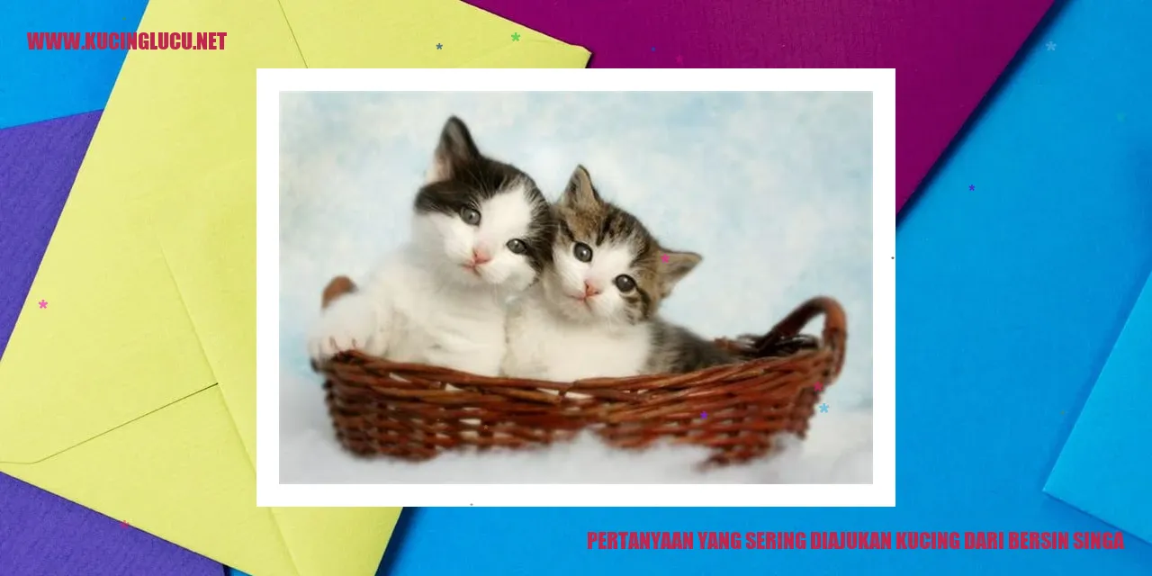 Kucing bersin