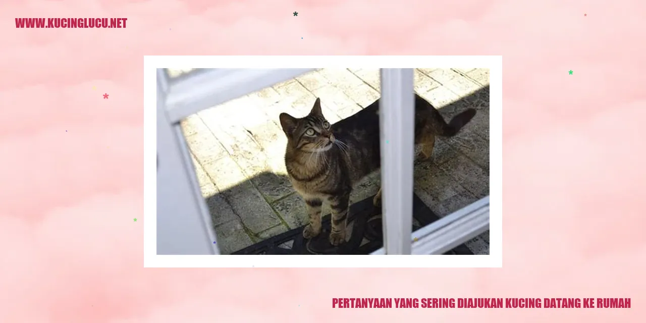 Pertanyaan yang Sering Diajukan kucing datang ke rumah