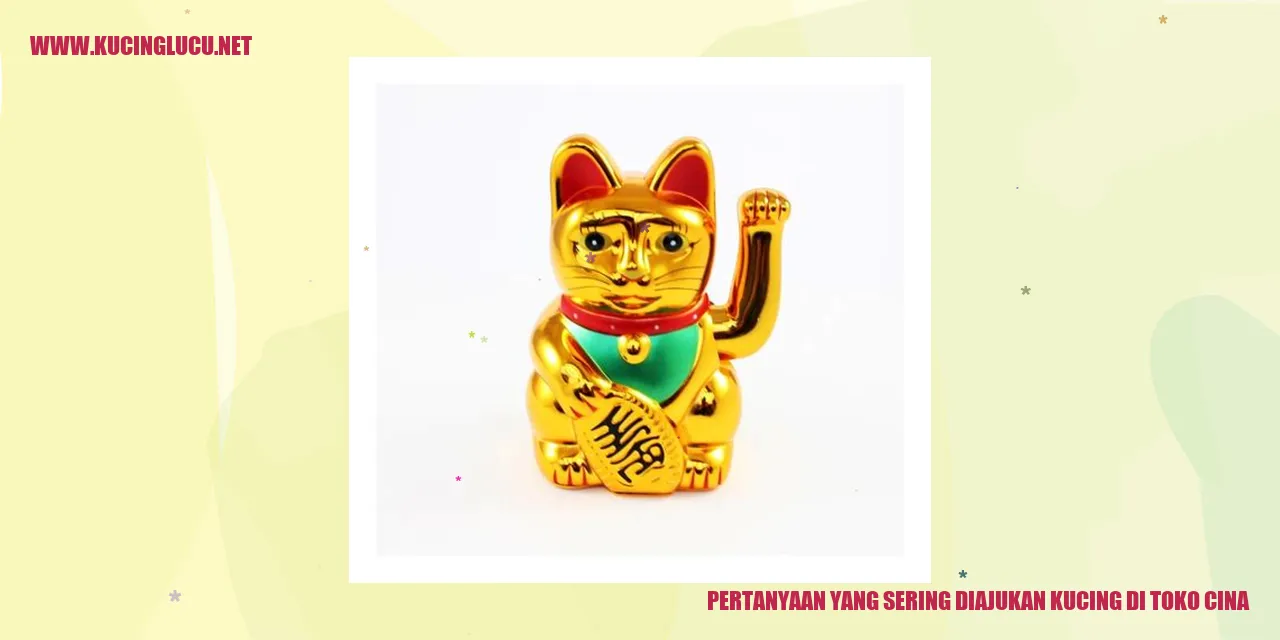 Kucing di Toko Cina