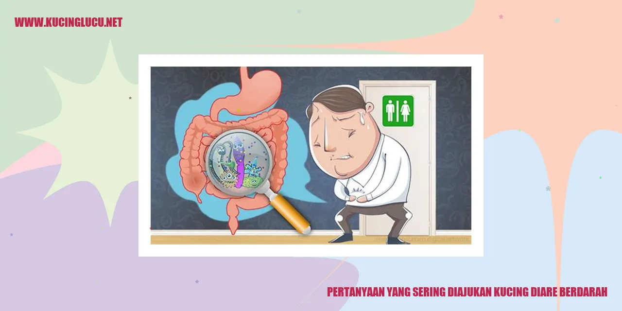 Kucing diare berdarah