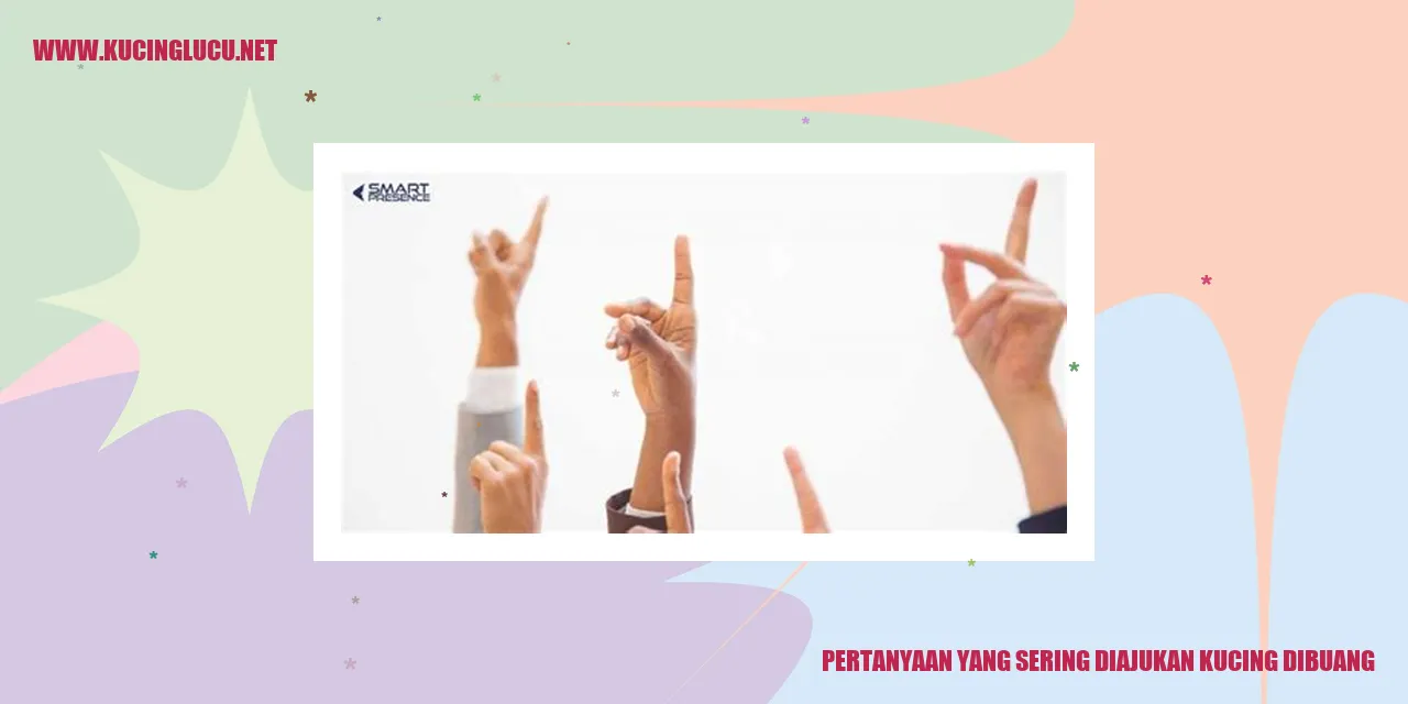 gambar pertanyaan tentang membuang kucing