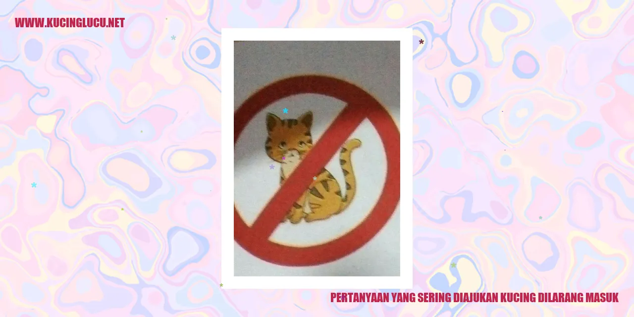 Gambar Kucing Dilarang Masuk