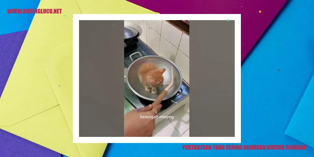 Kucing dimasak