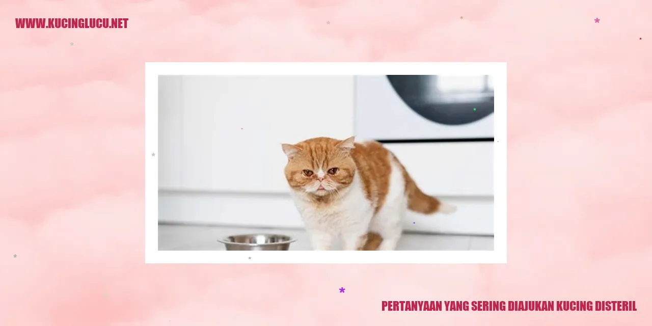 Kucing Disteril