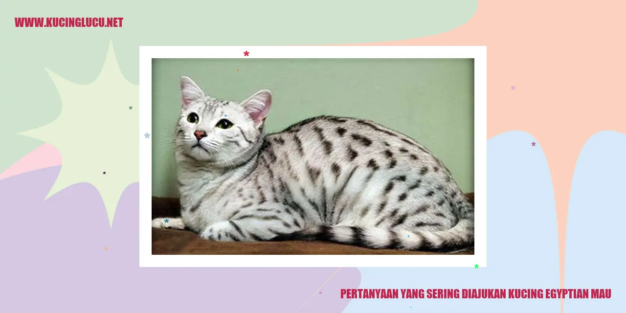Kucing Egyptian Mau