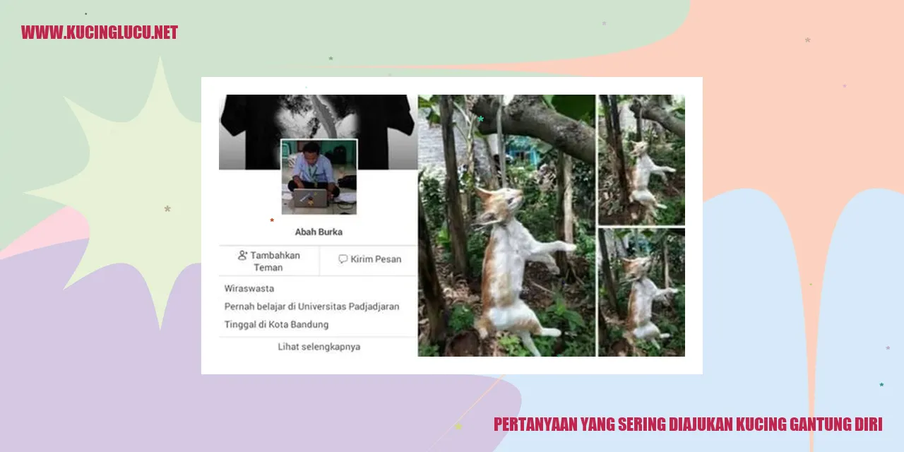 Kucing Terjebak