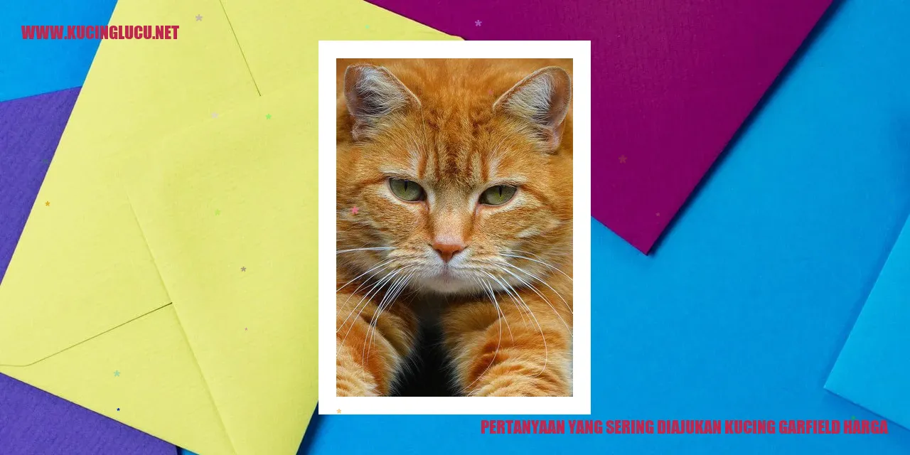 Tanya Jawab seputar Harga Kucing Garfield